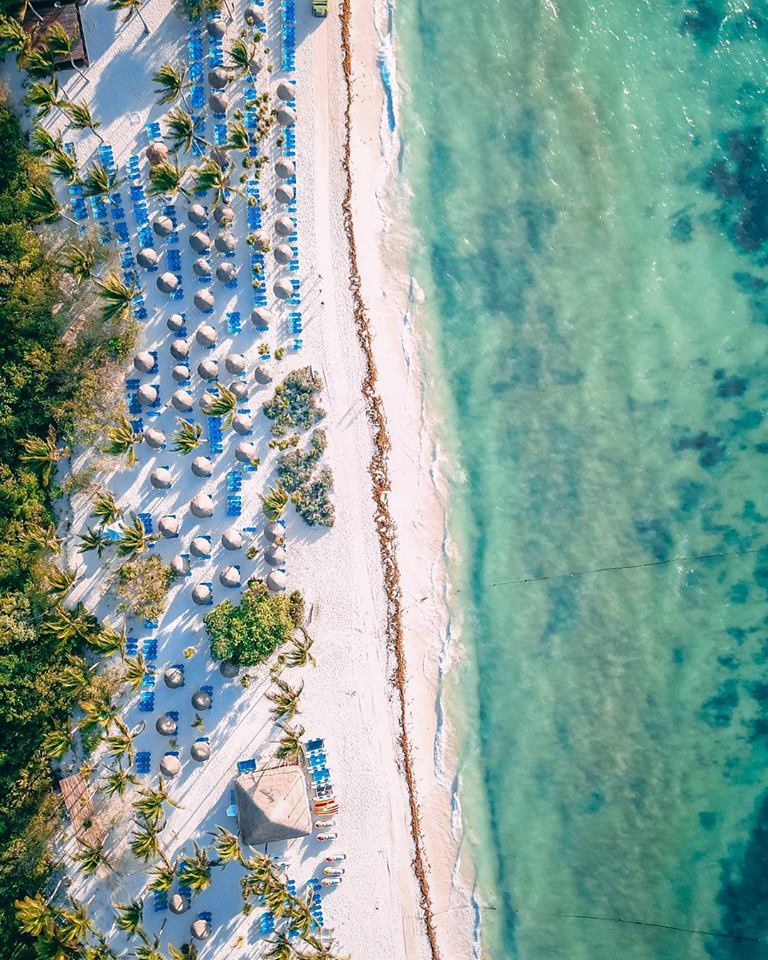 PrincessHotels's tweet photo. 🌴☀🌊 Take advantage of our limited time offers and enjoy your tropical getaway! Book now!
...
¡Aproveche nuestras ofertas por tiempo limitado y disfrute de su escapada tropical! ¡Reservar ahora! 😉

https://t.co/vFIVKsSkfY

#GrandSunsetPrincess #RivieraMaya https://t.co/5bNS6w6zqE