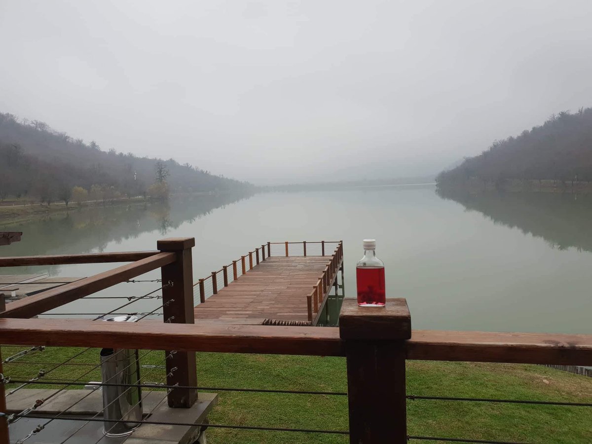 GeorgiaFind's tweet image. 