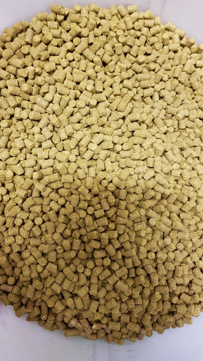 StubbornMuleBru's tweet photo. Oooooo. They're like tiny little hop marshmallows.👀 Here's to managing to use them efficiently at £69 at kilo. 🤣👍😉 #fermentation #lactofermentation #fermentationcam #craftbeer #beer #Altrincham #Cheshire #Manchester #Tryanuary #beerexploration https://t.co/98nUlQywKg