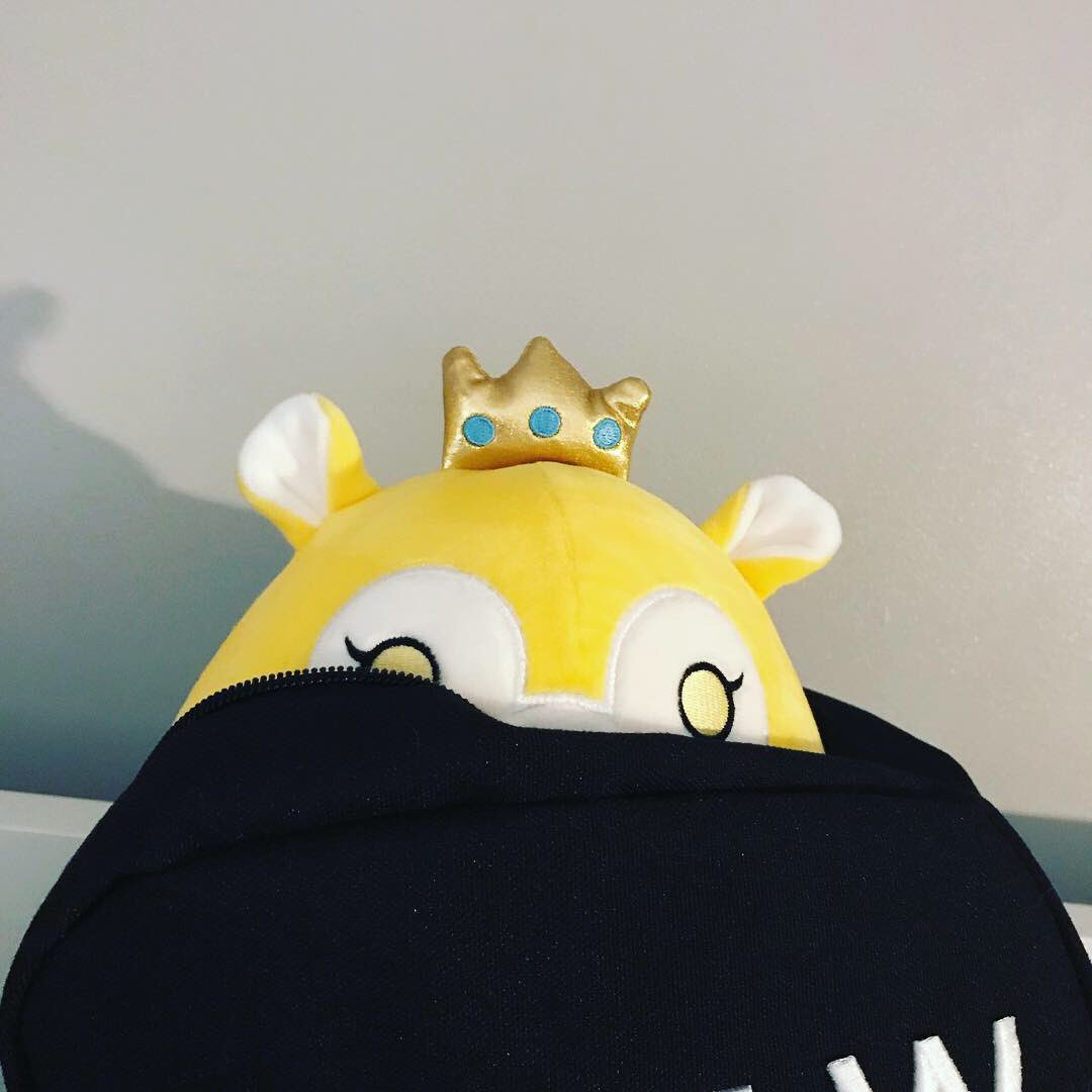 FunnehPlush's tweet photo. Looking for shiny things!✨
•
#shiny #gold #seeking 
•
(The Krew)
•
@GoldenGlare_ @DraconiteDragon @ItsFunneh @RainbowsYT @Lunar3clispe @KrewMerch https://t.co/Wo9NUYeRqo