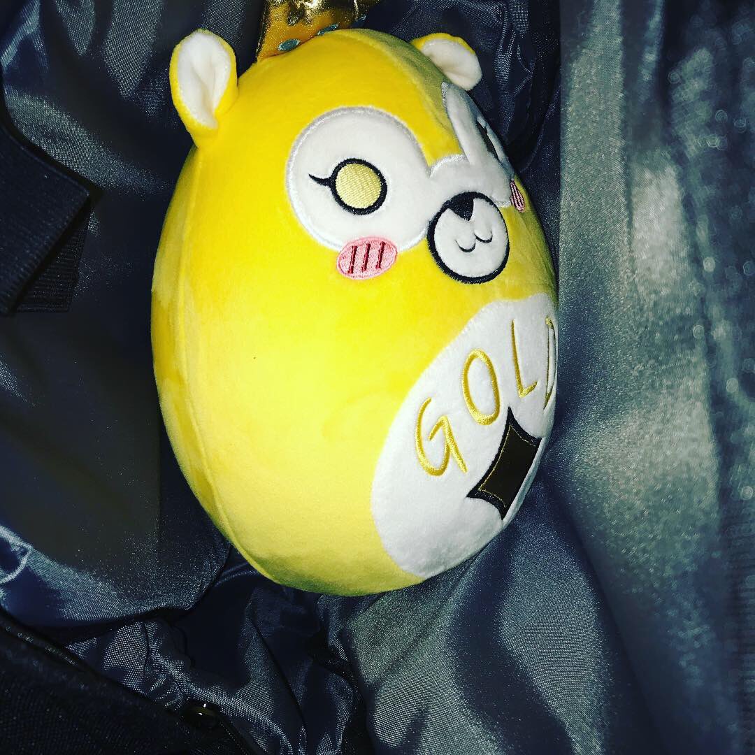 FunnehPlush's tweet photo. Looking for shiny things!✨
•
#shiny #gold #seeking 
•
(The Krew)
•
@GoldenGlare_ @DraconiteDragon @ItsFunneh @RainbowsYT @Lunar3clispe @KrewMerch https://t.co/Wo9NUYeRqo