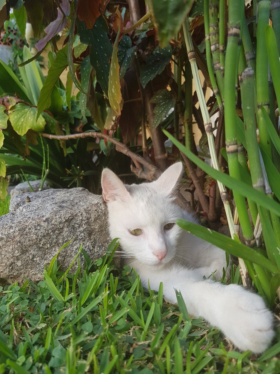 Buen día gente 🤫