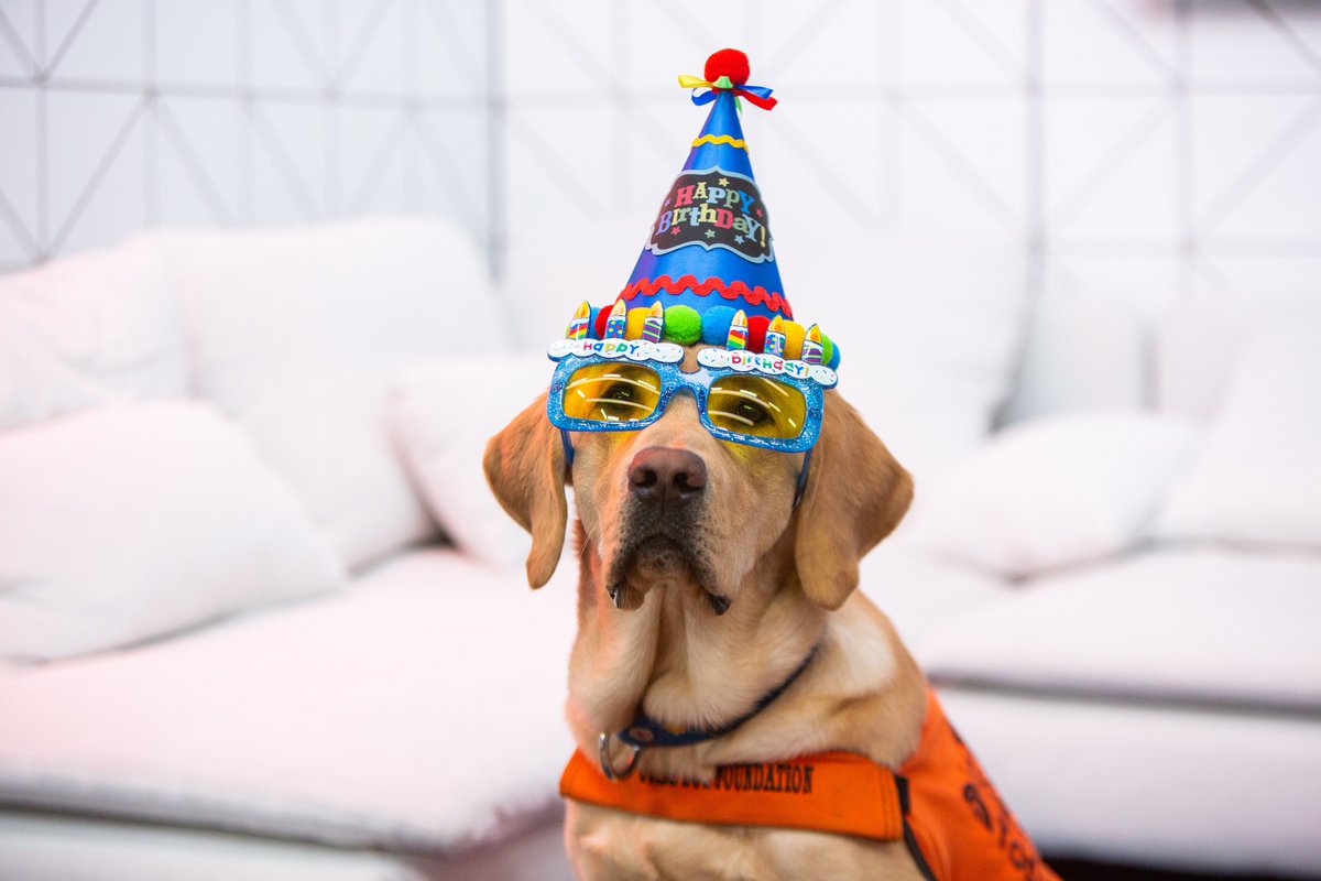TODAY (@todayshow) on Twitter photo Help us celebrate Sunny’s birthday! 🐶 Tweet us a photo of your dog using #TODAYPuppyParty in support of the Guide Dog Foundation, <a href="/GuideDogFdn/">Guide Dog Foundation</a>. Help us celebrate Sunny’s birthday! 🐶 Tweet us a photo of your dog using #TODAYPuppyParty in support of the Guide Dog Foundation, <a href="/GuideDogFdn/">Guide Dog Foundation</a>.