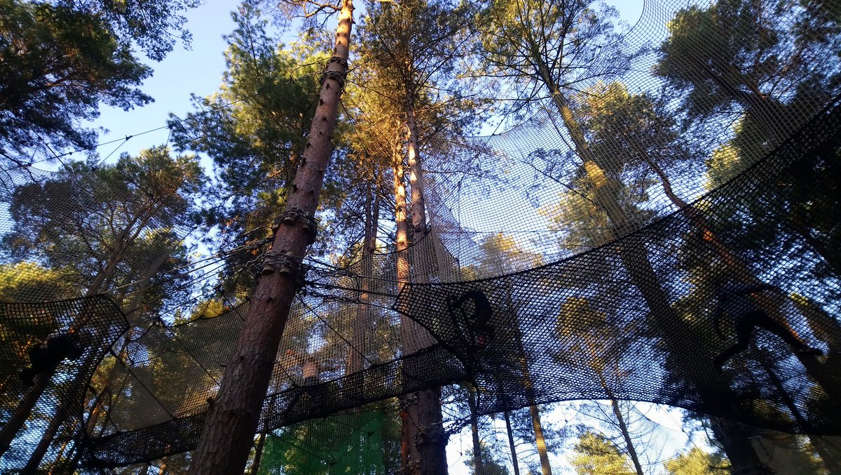 Rawsonrocks's tweet photo. Think kids are going to miss days like this when they are back at school tomorrow! Can't beat burning off all that energy in the forest! @SherwoodPCafe @ForestryCommEng @GoApeTribe @VisitNotts #sherwoodpines #7DaysofWildChristmas #GetOutside https://t.co/pqdglMdW15