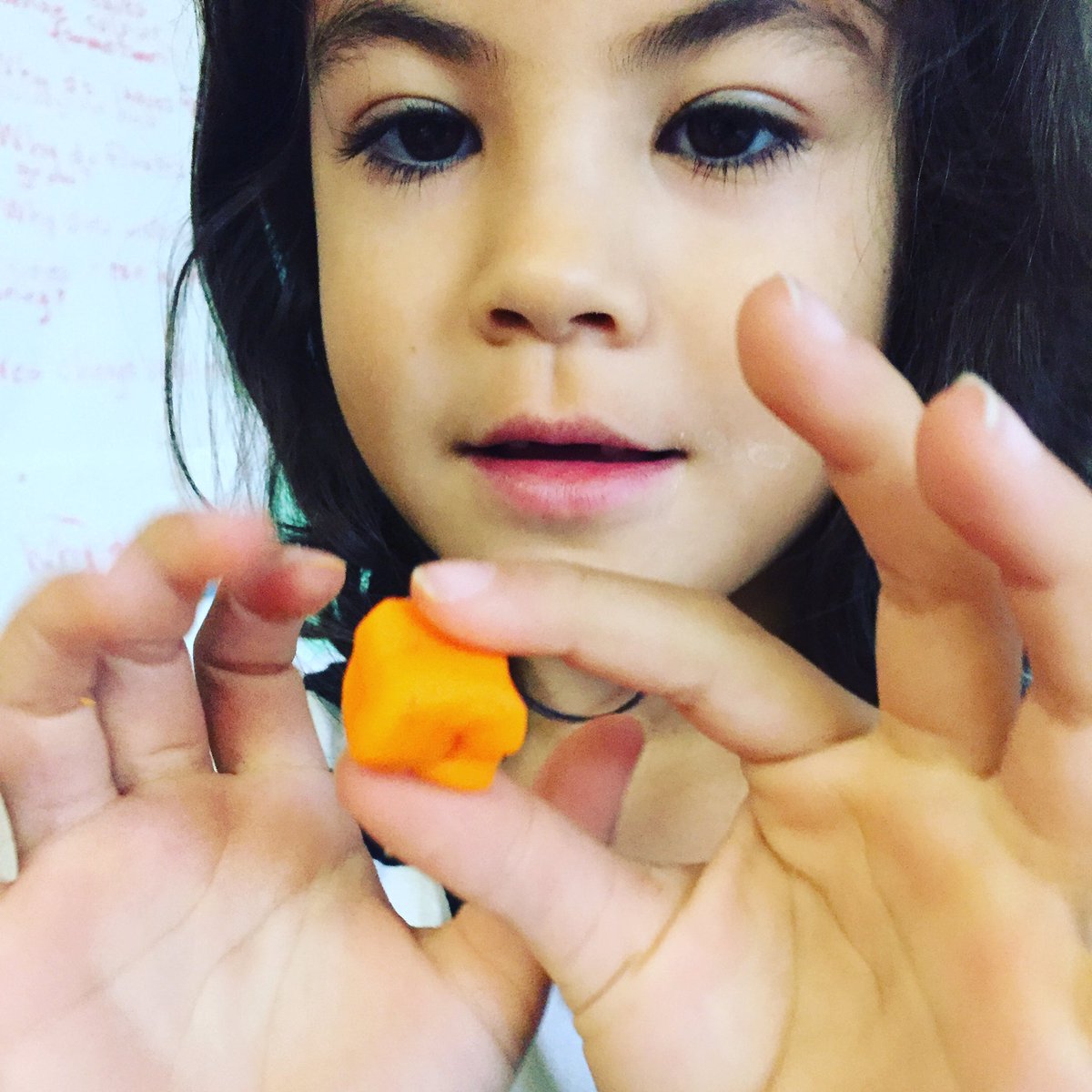 growingupcurios's tweet image. I have only one teaching goal for the new year. Each day I will try to capture the look of wonder and/or curiousity in the face of a child. #3Dfigures @j_varriano @Lorneparkps @PeelSchools