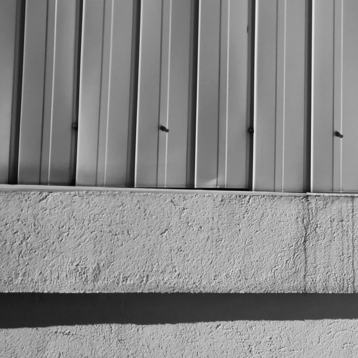 AG_Exposed's tweet image. #sectioned 

#blackandwhitephotography