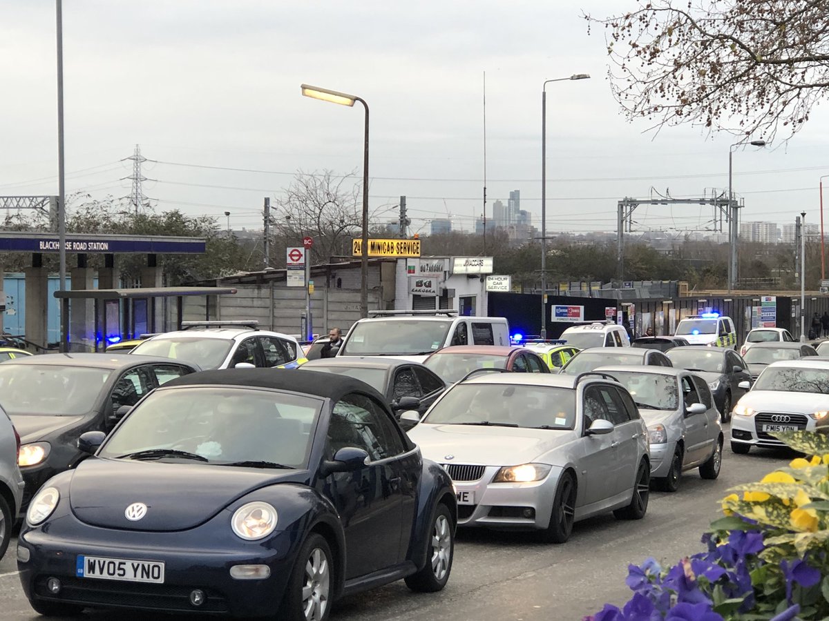 Stephanie Hayden tweet media