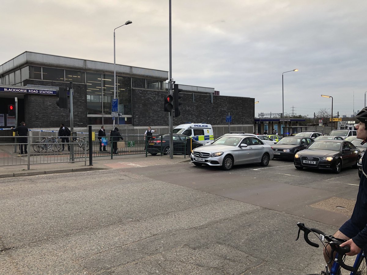 Stephanie Hayden tweet media