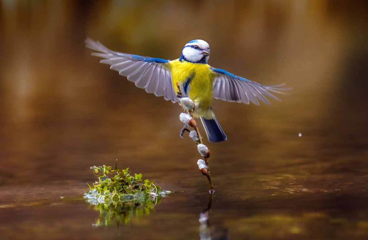 ramblingsloa's tweet image. Life is about balance.
Be kind, but don’t let people abuse you.
Trust, but don’t be deceived.
Be content, but never stop improving yourself. 

Nishan Panwar
Pic Robert Didierjean