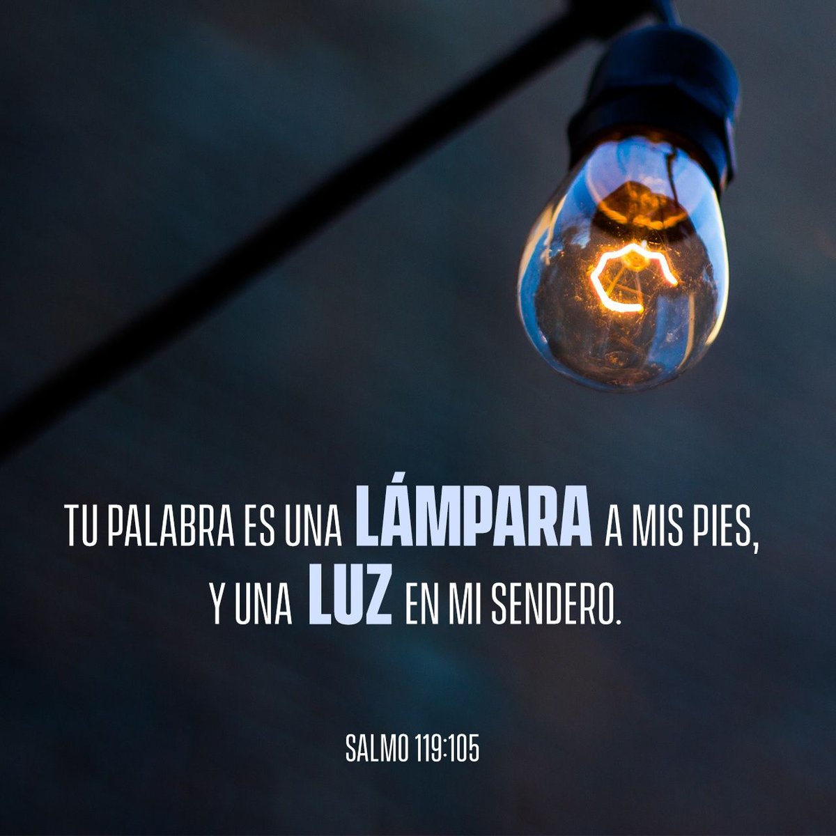 templobethel's tweet photo. Lámpara es a mis pies tu palabra, Y lumbrera a mi camino.
Salmos 119:105 RVR1960
https://t.co/iN2giG8bug https://t.co/cUDOLlKRK3