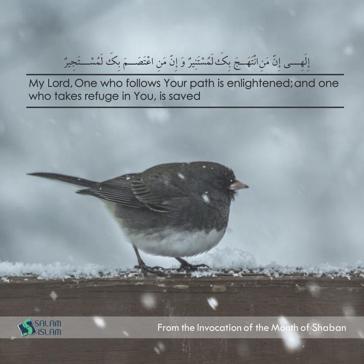 SalamIslam110's tweet photo. take refuge in #Allah 

#rightPath 
#salamislam #newmuslim #followerofGod #lord #invocation #winter #coldweather #takerefuge #RefugeesWelcome https://t.co/kkXgzKCjQH