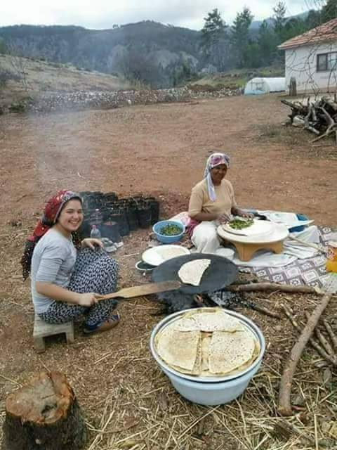 AdnanFarsi's tweet photo. @Siti_Amin4h https://t.co/u4HLwX8uiN
