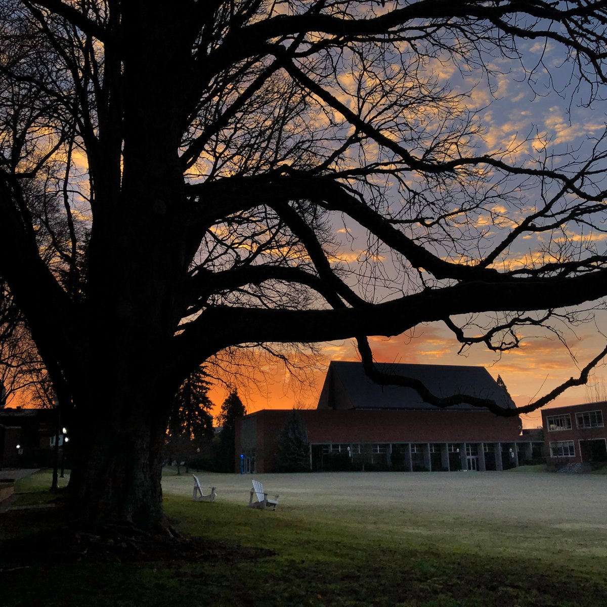 Winter sunrise over the Quad and Rogers Music Center at #WillametteU. #WillametteUniversity <a href="/cityofsalem/">City of Salem</a> <a href="/WillametteAlum/">WillametteAlum</a> <a href="/CTCLColleges/">CTCLColleges</a> <a href="/Oregon_Alliance/">The Alliance</a> @WUAdmit