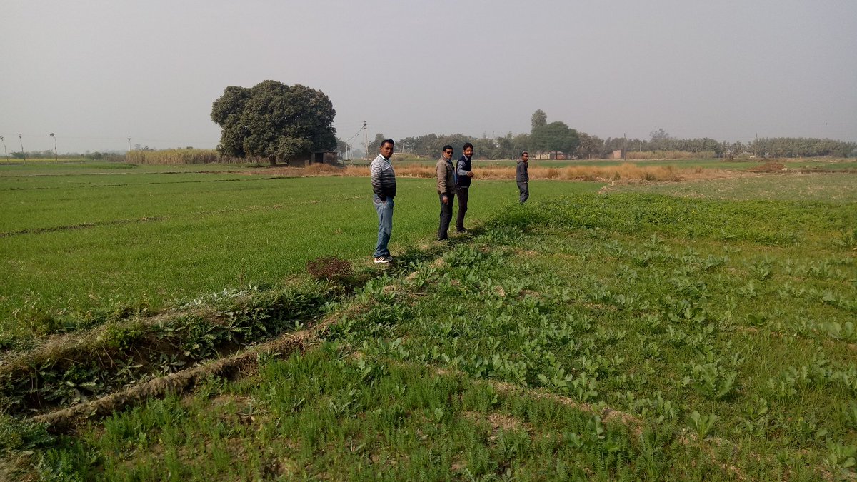 mausagar99's tweet photo. आज अपने साइट(पर्यावरण संरक्षण केंद्र) पर पौधारोपण का छोटा आयोजन किया गया. अतिथि गणों में रामकेश सर, विजय सर, अरुण सर और पुरूषार्थ अंकल जी, आप लोगों ने आकर मेरा मान बढ़ा दिया. 🙏🙏
सहयोग - समीर, पवन और रमेश. #MakingSite #Plantation #ConservationWork #KRSNature https://t.co/AI5cHwmHtG