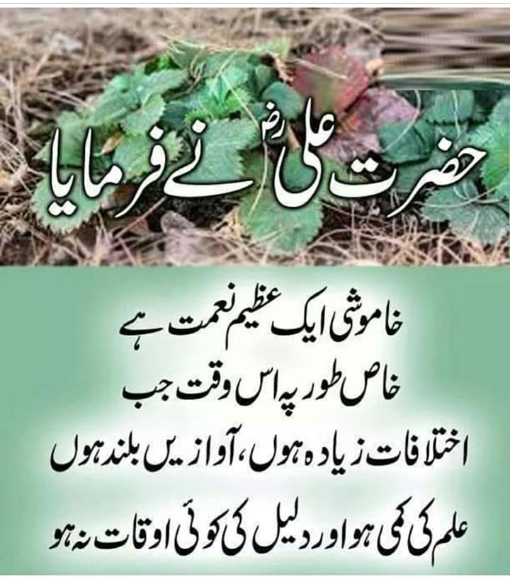 Mushtaq dar Adder (@daradder) on Twitter photo 