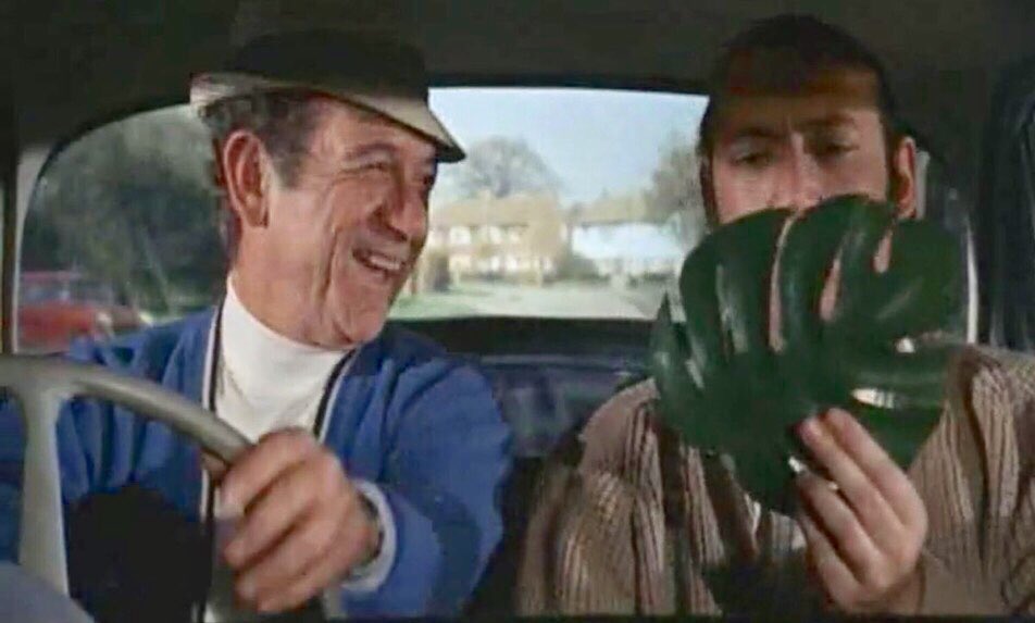 What will you be wearing, Bernie?