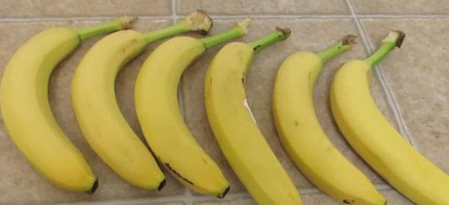 johnnan11's tweet photo. I live in tropical country and eat bananas everyday. Bananas is a fruit which good for health. Sometime I buy too much but I have method to keep its always fresh.  https://t.co/E5VlyvHW5v https://t.co/TDPZ9peb36