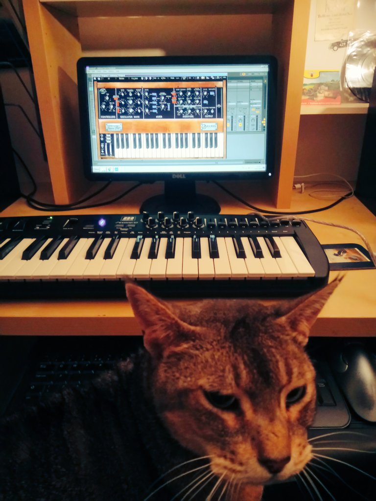TheMarcelWave's tweet image. Laeppen helps me get started with my new midi controller #miditech #minimoog #softsynth