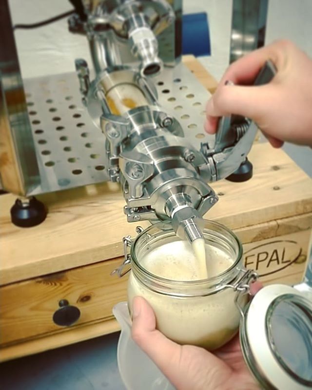 friediesbrewery's tweet image. Harvesting #yeast can be so easy 😁 #unitank .
.
.
.
.
.
#friediesbrauhaus #craftbeer #beer #hobbybrauer #bier #dohomebrew #wehomebrew #drinkcraftnotcrap #beerstagram #homebrew #homebrewing #homebrewer #beerme
#craftbeerlife #craftbeerporn #beergeek #… bit.ly/2AwrMNU