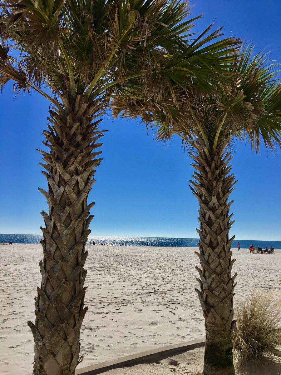 Another stellar day here on the Alabama Gulf Coast! #beach #beachvolleyball #BeachViews #Alabama #SundayMorning @VisitALBeaches @VisitFoley @michaelwhitewx @spann @NWSMobile @BrettPohlman @ClaytonEBarnett @City_GulfShores @spectrumresorts