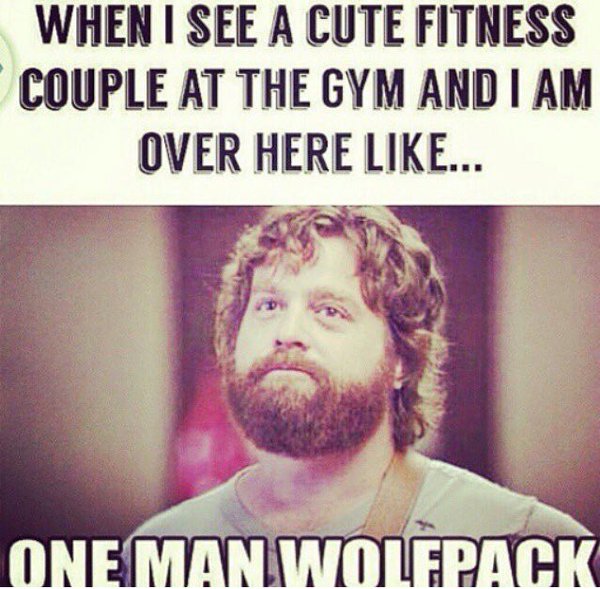 #GymFlow™ tweet media