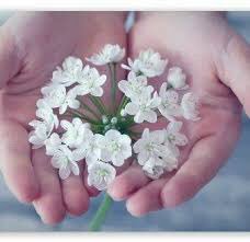 هناك أشخاص معرفتهم شرف 
قلوبهم الطيبة وأخلاقهم تفرض 
علينااحترامهم وتقديرهم👌🏻
<a href="/ALjohrah12/">⚡️أم محمد ⚡️♥️الجوهرة♥️</a>
<a href="/nwaoal/">~ نــونـتــي ~🌹صاحبة الحساب بذمة الله</a>
<a href="/nawaall_n/">‏يعلمُ اللهُ أنّني بذلتُ حتّى ذَبلتْ.</a>
<a href="/alshweyer/">Nadya Alshweyer</a>
<a href="/Fawzia_Meshari/">فوز</a>
<a href="/4_shikha/">Shikha</a>
@Lolwaa303
<a href="/Wm33wmp/">المصممة الملكة قمر الكون</a>
<a href="/Aljazy_120/">الجازي</a>
<a href="/almiyah2/">Almiyah</a>
<a href="/umsand33555/">مالي سواك ..ياالله</a>
<a href="/kn_khaled_ksa/">خالد</a>
<a href="/jumana1955/">جمانة ..</a>
<a href="/FAA_25_1/">‏ برآءة حــرّف</a>
<a href="/taalaa82/">عيون المها</a>
<a href="/535jeddah1/">سماء صافيه</a>
@smoo85_s
#ابتسم😊