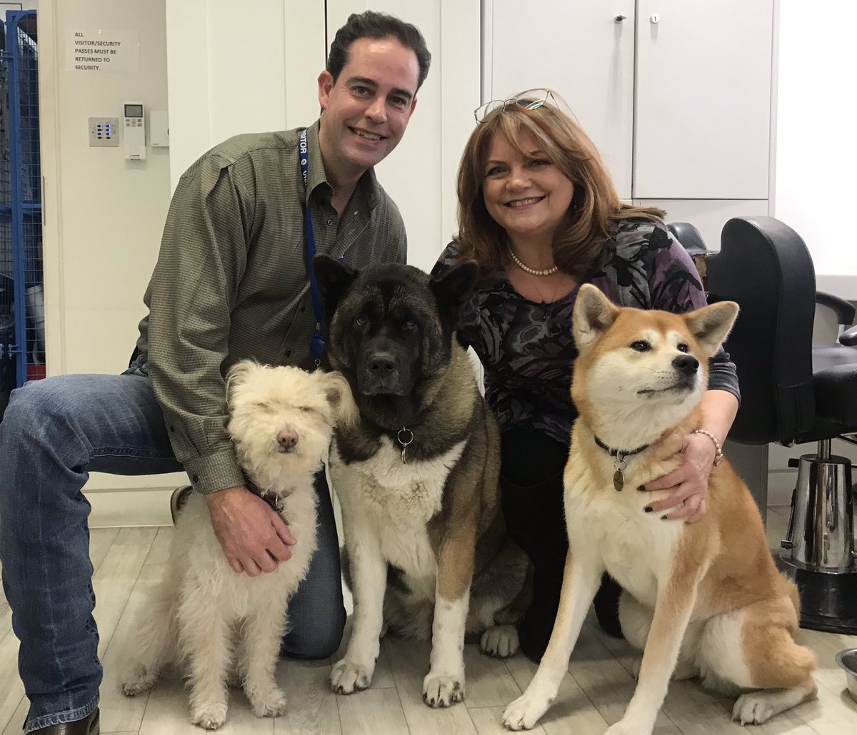 debbieflint's tweet photo. Doggies on @qvcuk #groomingGlove - midnight (rpt till 9am!) Meet Grace, Flora and Kin - and the humans! Plus fab #packmate 12pc big set is #tsv w @gillqvc - join us! X https://t.co/oLdufruDuJ
