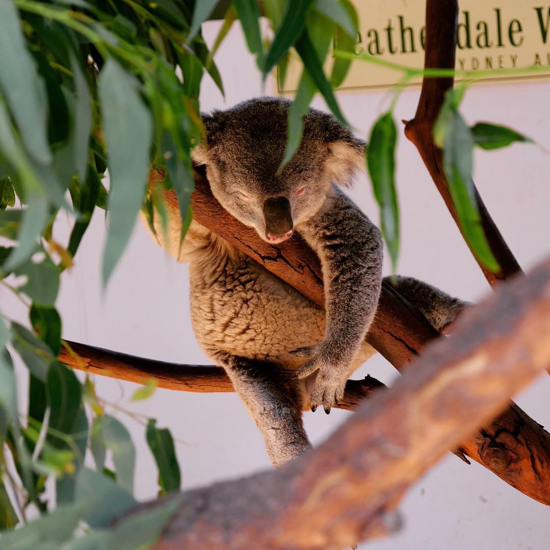 Ameet Ranadive tweet media