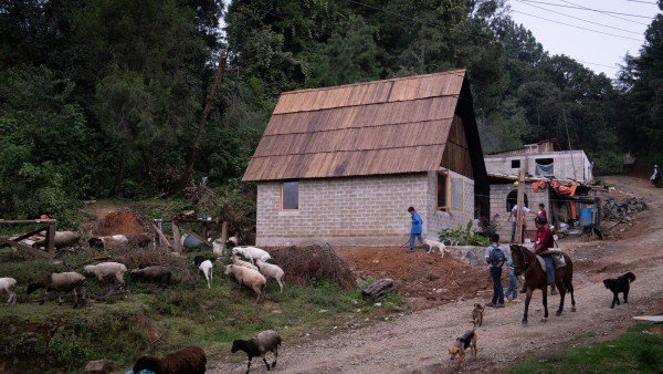 afasiaarq's tweet image. #Rozana Montiel bit.ly/2SKV9TL #architecture #FelizMartes

Rural House. Ocuilan Rozana Montiel Estudio de Arquitectura . photos: © Jaime Navarro . + dezeen Small house in Ocuilan, Mexico, for a family that was impacted by the earthquake that hit the country in 2017. _ …