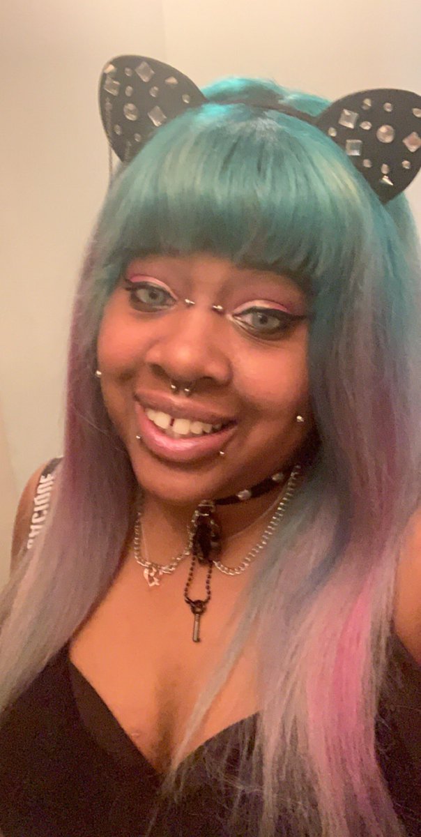 PiercedMeatball's tweet photo. When you’re a pretty kitty!! =^•^= https://t.co/zoy0iXiUPX