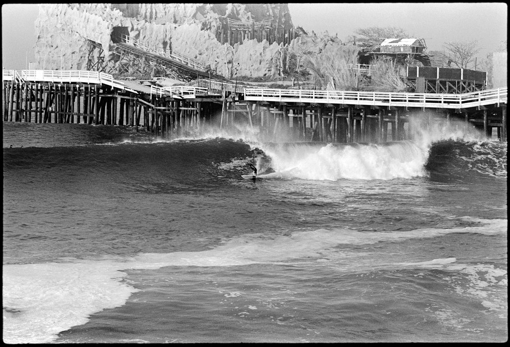 The Surfer's Journal tweet media