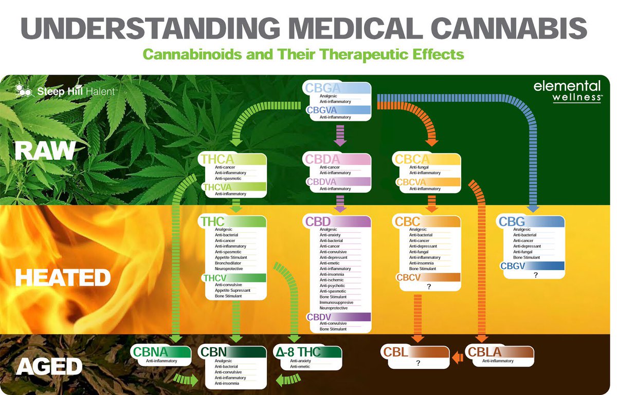 GreenLeafDHS's tweet photo. Info for the brain. 🤯😌💚❤️💛 #greenleafdhs #dispensary #deserthotsprings #palmsprings #google #weedmaps #thc #cbd #indica #sativa #cbd #ithelps @GreenLeafDHS https://t.co/1i2mX76Tc2