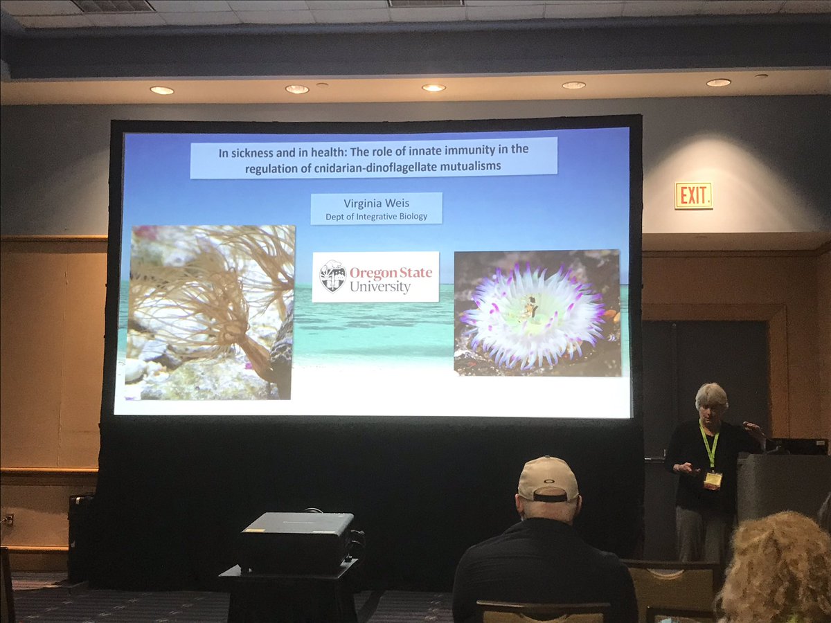 Avoid immune destruction (be friends), sustain communication, outsource functional traits, adapt to a changing environment. @VirginiaMWeis #sicb2019 #aiptasia #immunity @OSUScience @OregonState @OSUIB