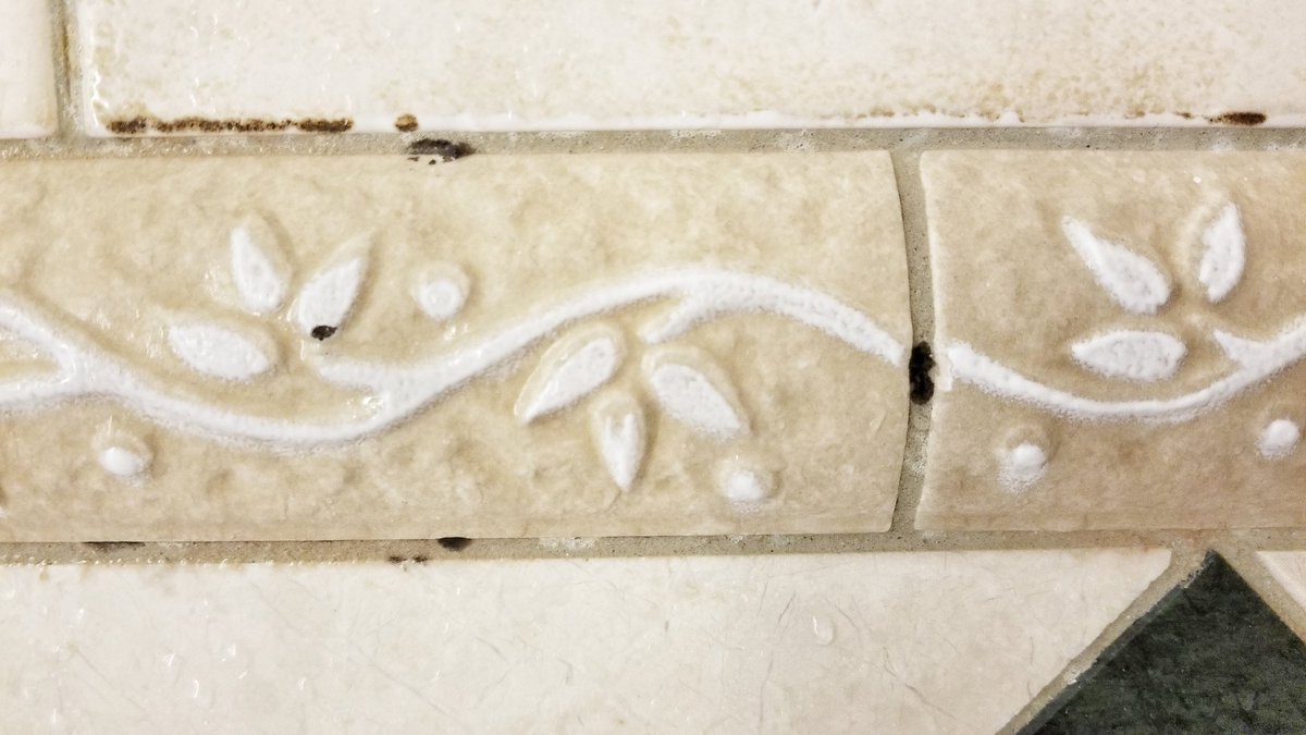 Pettler's tweet photo. @SandalsResorts and more mold…. @AdamStewart https://t.co/2ejkIqCTEZ