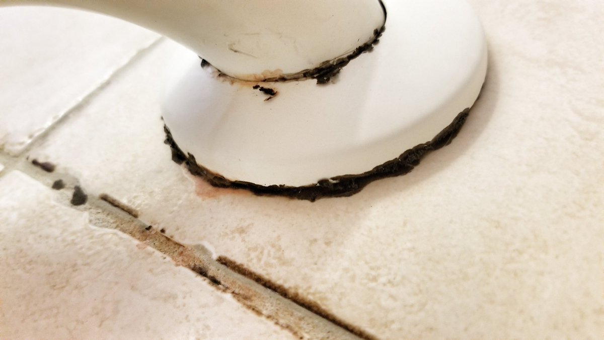 Pettler's tweet photo. @SandalsResorts and more mold…. @AdamStewart https://t.co/2ejkIqCTEZ