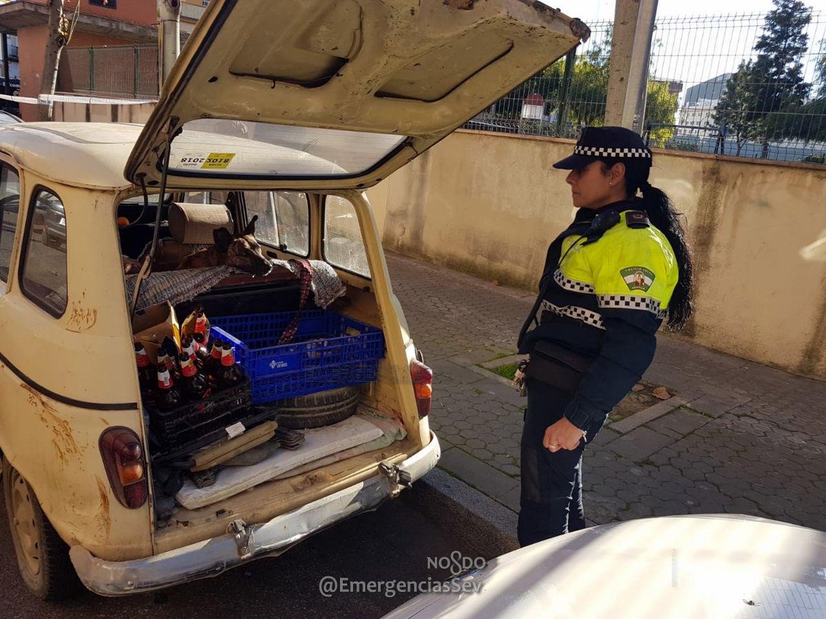 EmergenciasSev's tweet photo. Policía Local denuncia al propietario de una 🐶perra por dejarla encerrada en el interior de un vehículo, estacionado al sol, en c/ Baltasar Gracián #Sevillahoy, mientras celebraba una comida familiar.
🤦‍♂️A pesar de todo, los familiares increparon a los agentes por la actuación. https://t.co/5d1RPGcf0r
