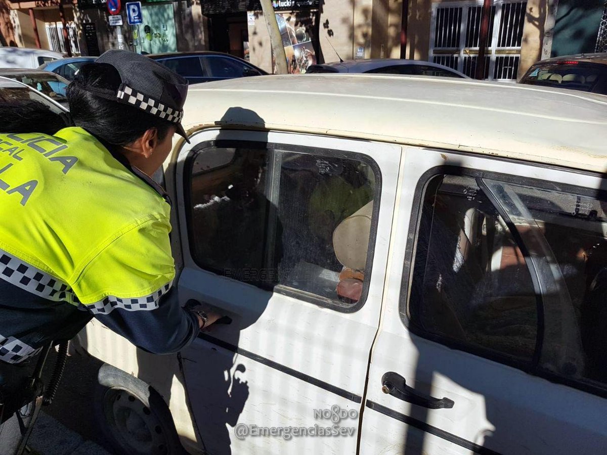 EmergenciasSev's tweet photo. Policía Local denuncia al propietario de una 🐶perra por dejarla encerrada en el interior de un vehículo, estacionado al sol, en c/ Baltasar Gracián #Sevillahoy, mientras celebraba una comida familiar.
🤦‍♂️A pesar de todo, los familiares increparon a los agentes por la actuación. https://t.co/5d1RPGcf0r
