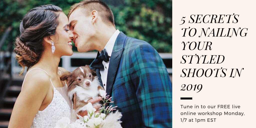 Ruffled® - Amanda Nistor tweet media