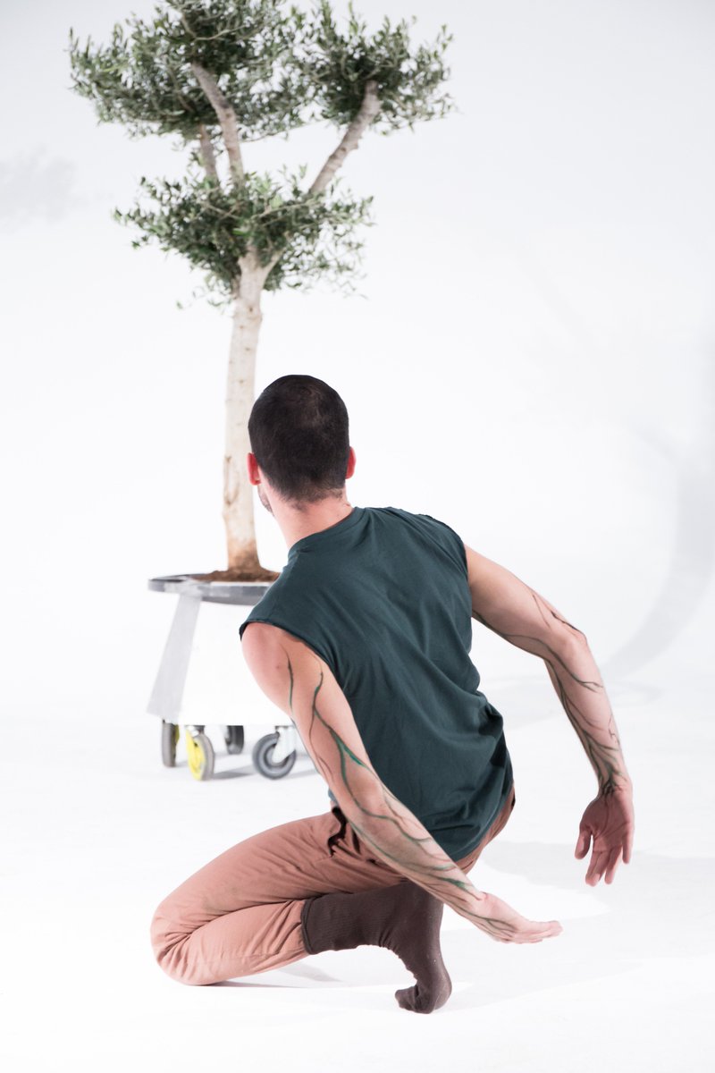 bihemispheric's tweet photo. DANCING WITH PLANTS - ABIAN NAUZET &amp; OLIVE TREE #bihemispheric #art #arte #bihemisferico https://t.co/fIo8ea8LCx #bionicdance #danzabionica #dancewithplants #abiannauzet #olive #tree #purifying in #thecity #dancewithtrees https://t.co/EhM7lu1Pvp