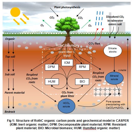 Ben Kolosz tweet media