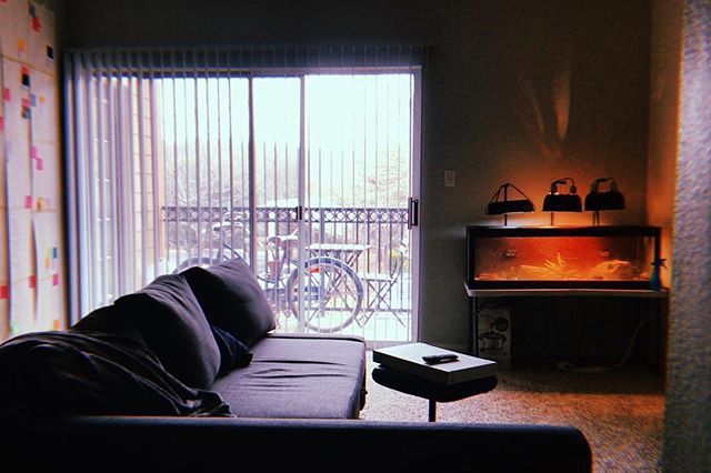 jeni_art's tweet photo. Sometimes I just take photos too.
#home #hujiapp #photography #lighting https://t.co/XYcfvClo0w https://t.co/bWLiX9cvdb