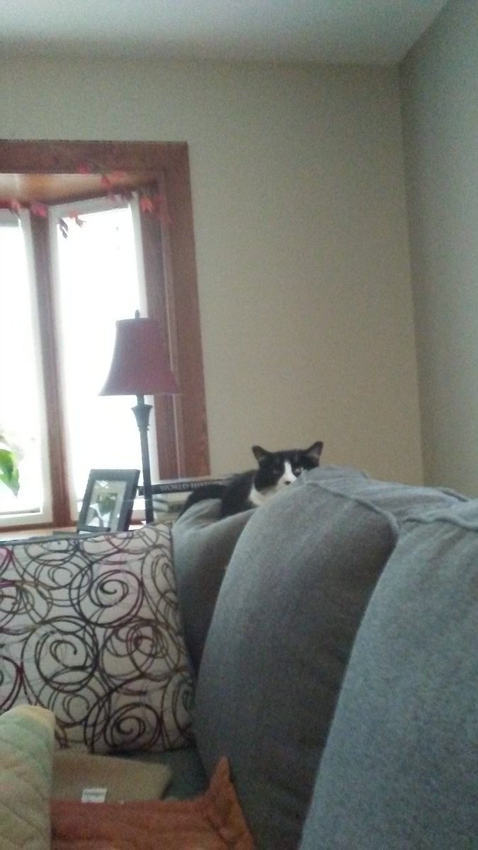 Jon Camarena (@jon_camarena) on Twitter photo 