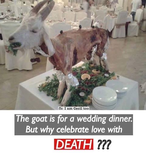 moodysally1's tweet photo. They are MOCKED💔WHEN THERE ALIVE & EVEN AFTER THEY BEEN 🔪🖤 #MURDERED to #Celebrate💩👿over their dead💀carcass #goveganandbehealthy #GoVegan #Sadists #meatismurder #NoHumaneSlaughter #MeetyourMeat #AnimalsFeelPain #AnimalLiberation #AnimalRights #HeartlessPeople #NoReason https://t.co/M41OeApEVV