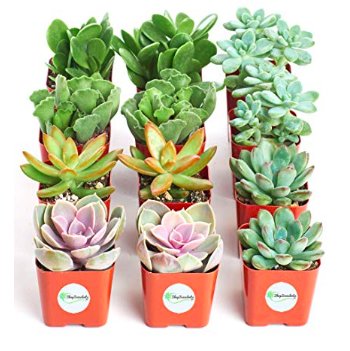 parenting's tweet photo. 15 Baby Shower Party Favors Under $5 Guests Will Love https://t.co/CtNtFLNoiJ https://t.co/GYYT3KUkPM