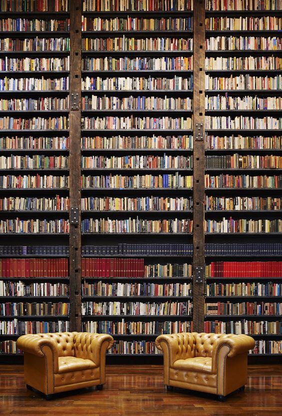 « Lire nous confirme que la solitude est un trésor. Un livre peut changer une vie. Et dire qu'il n'y a aucune mise en garde d'inscrite sur la couverture ! » Sylvain Tesson. 

Folio vous souhaite une douce reprise ce matin.