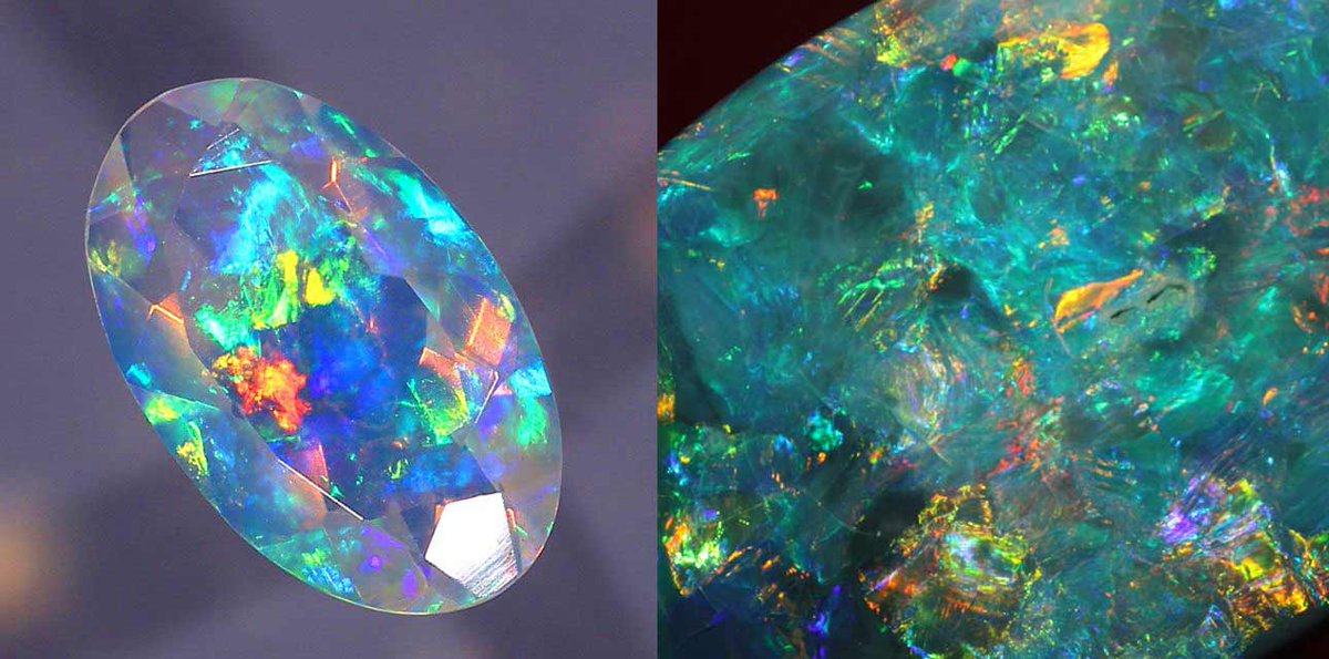 gemcamplab tweet picture