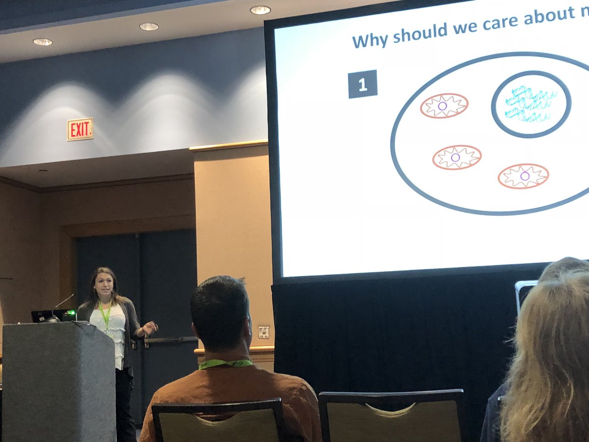 DK_Dowling's tweet image. @rkochadrian presenting her exciting results, which show that mitochondrial variation affects climbing ability of males moreso than females. Also included is Becca’s variation of the sex specific selective sieve in mito evolution. #SICB2019 

#DowlingLab #MonashEvolution