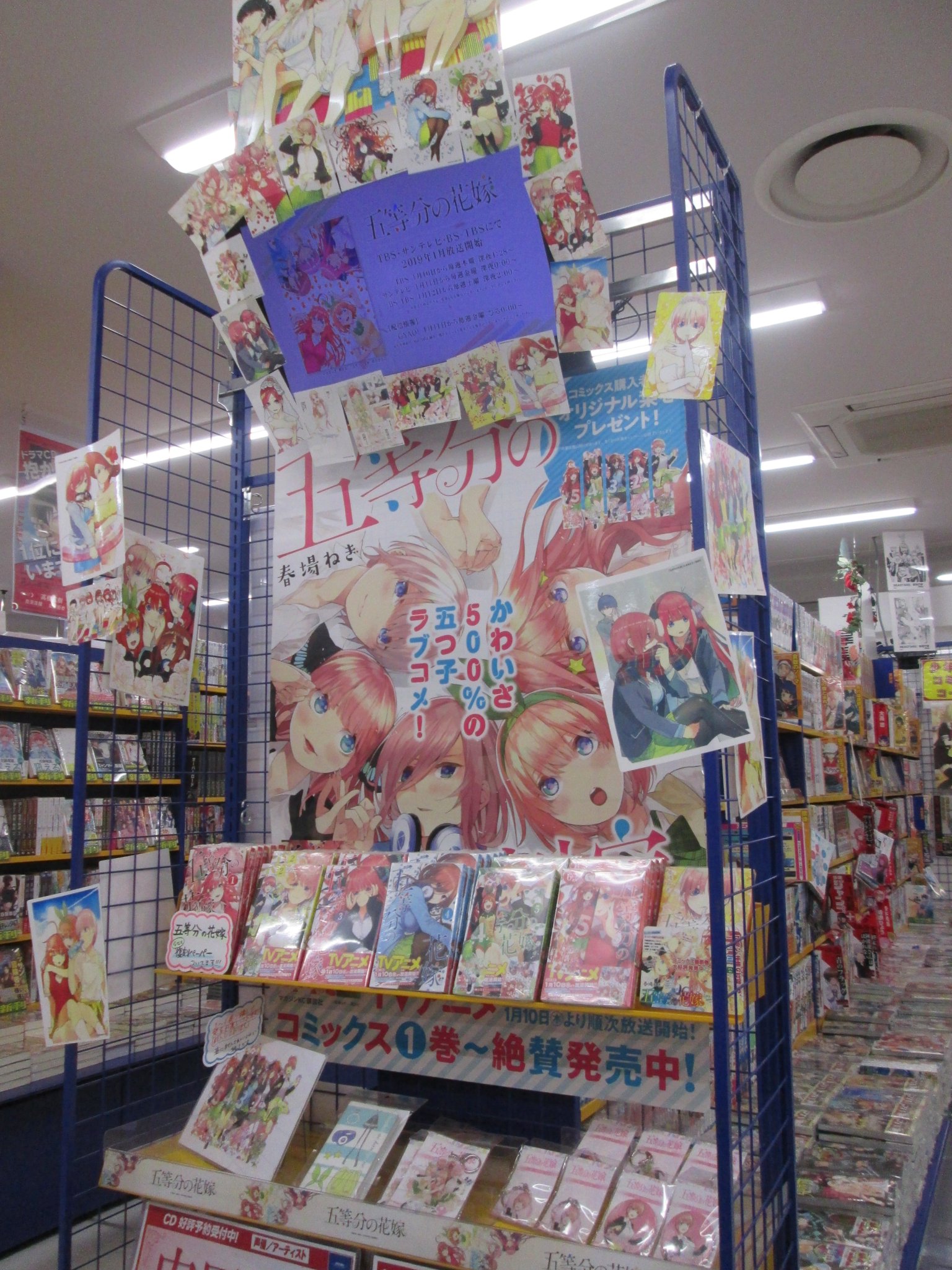 アニメイト小倉 営業時間 平日12 00 00 土日祝11 00 19 00 書籍コーナー情報 五等分の花嫁アニメ化おめでとうございます 現在小倉店では五等分の花嫁コーナーを展開中クラ この機会に是非ご来店下さいクラ アニメとっても アニメイト小倉 営業時間 平日12 00 00 土日祝11 00 19 00 書籍コーナー情報 五等分の花嫁アニメ化おめでとうございます 現在小倉店では五等分の花嫁コーナーを展開中クラ この機会に是非ご来店下さいクラ アニメとっても