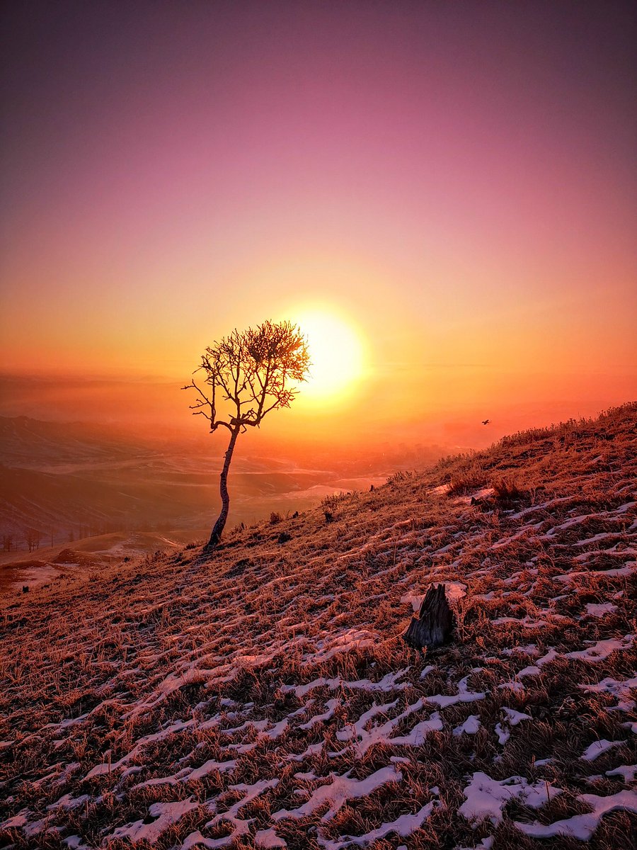 Шинэ он солигдоод амьдрал өөрчлөгдөхгүй. Шинэ өөрчлөлт хийсэнээр амьдрал өөрчлөгдөнөө гэж.. шинэ долоо хоногийн мэнд жиргээчдээ