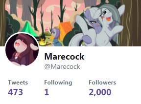 MarshyButthole's tweet photo. This also applies to @Marecock which has recently reached 2000 followers. I appreciate the following I've built but I'm not proud of the artists I had to step on to get there so I will no longer be tweeting from that account and it will lay dormant for the time being. https://t.co/GKLNirqEC7